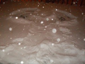 snowangel
